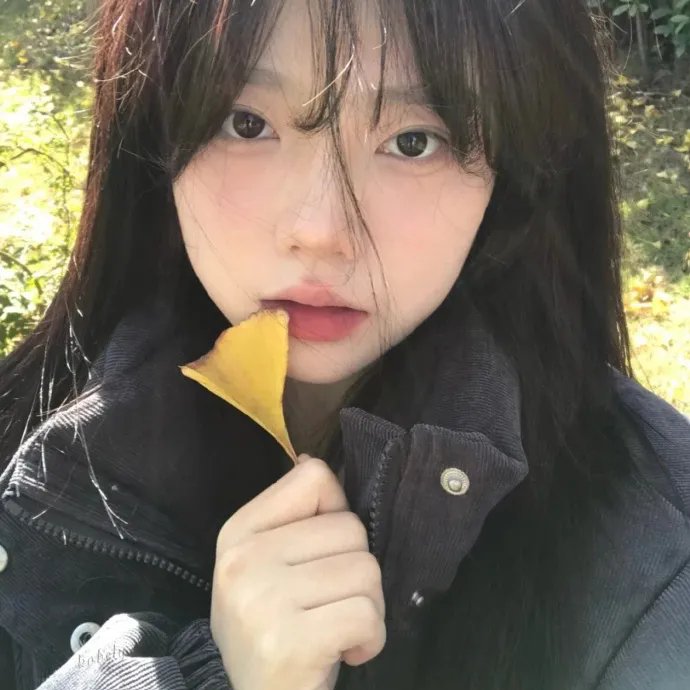 花游记
